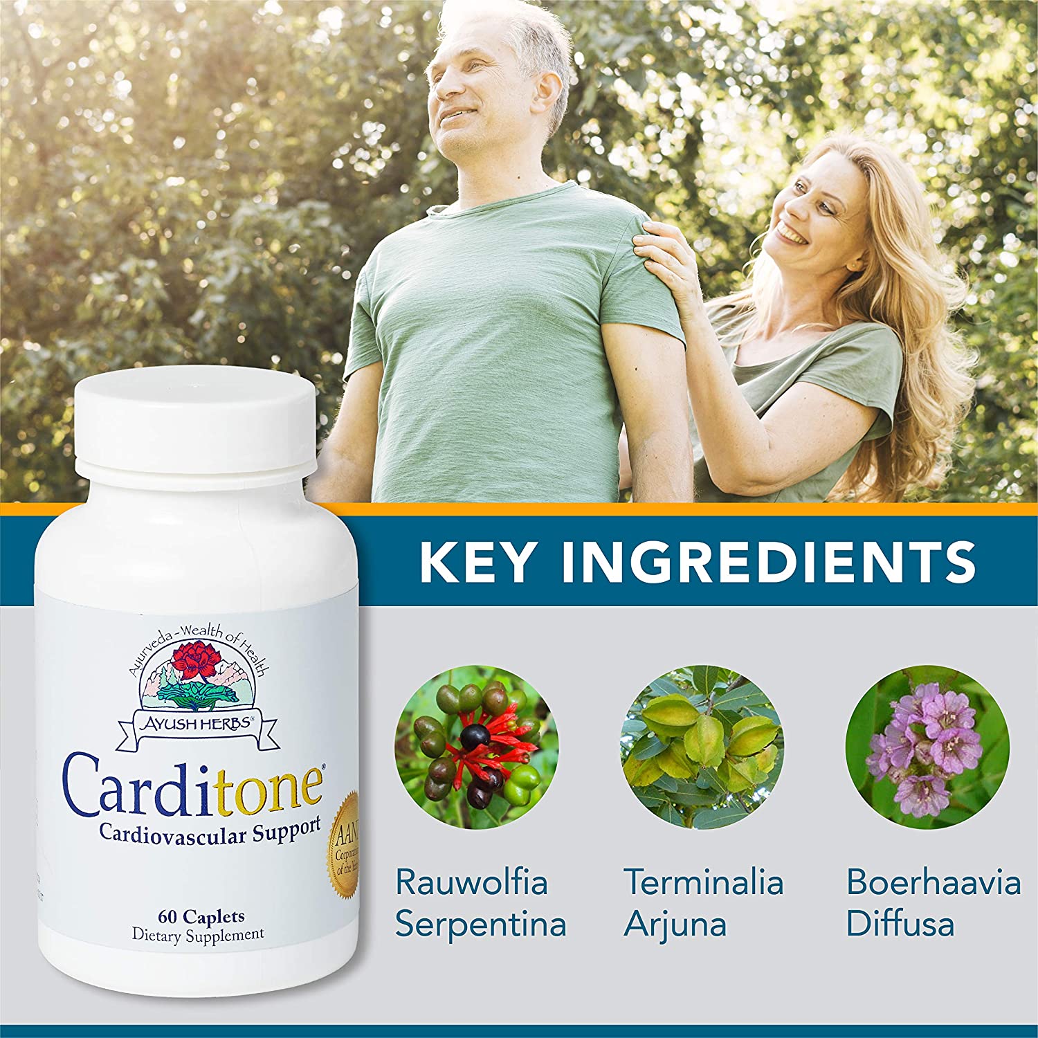 Ayush Herbs Carditone, Unbeatable Blood Pressure and Cardiovascular Support Herbal Supplement, 60 Tablets