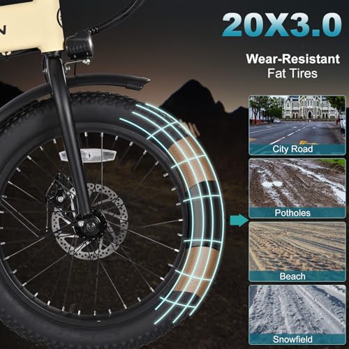 Folding Electric Bike for Adults, 20×3.0 Fat Tire Electric Bicycle, 374.4Wh Battery Ebike, 20MPH Electric Cargo Bike with LCD Color Display & 6 Speed Gears (Fits for 5'0+)