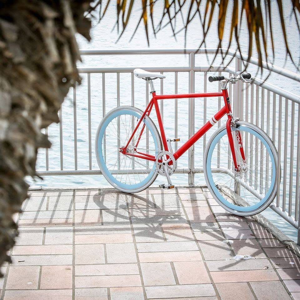 The OFW II - 52cm - Fixed Gear Single Speed Bikes - Solé Bicycle Co.