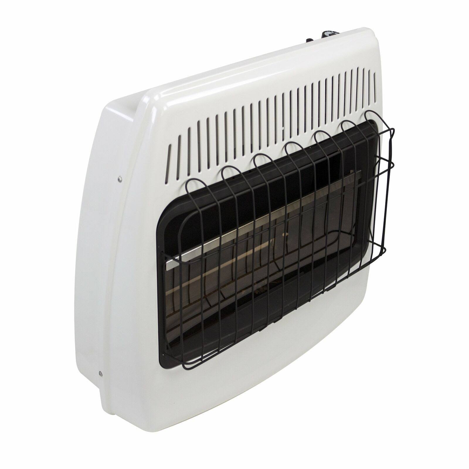 Dyna-Glo BF30NMDG 30,000 BTU Blue Flame Natural GAS Vent Free Wall Heater