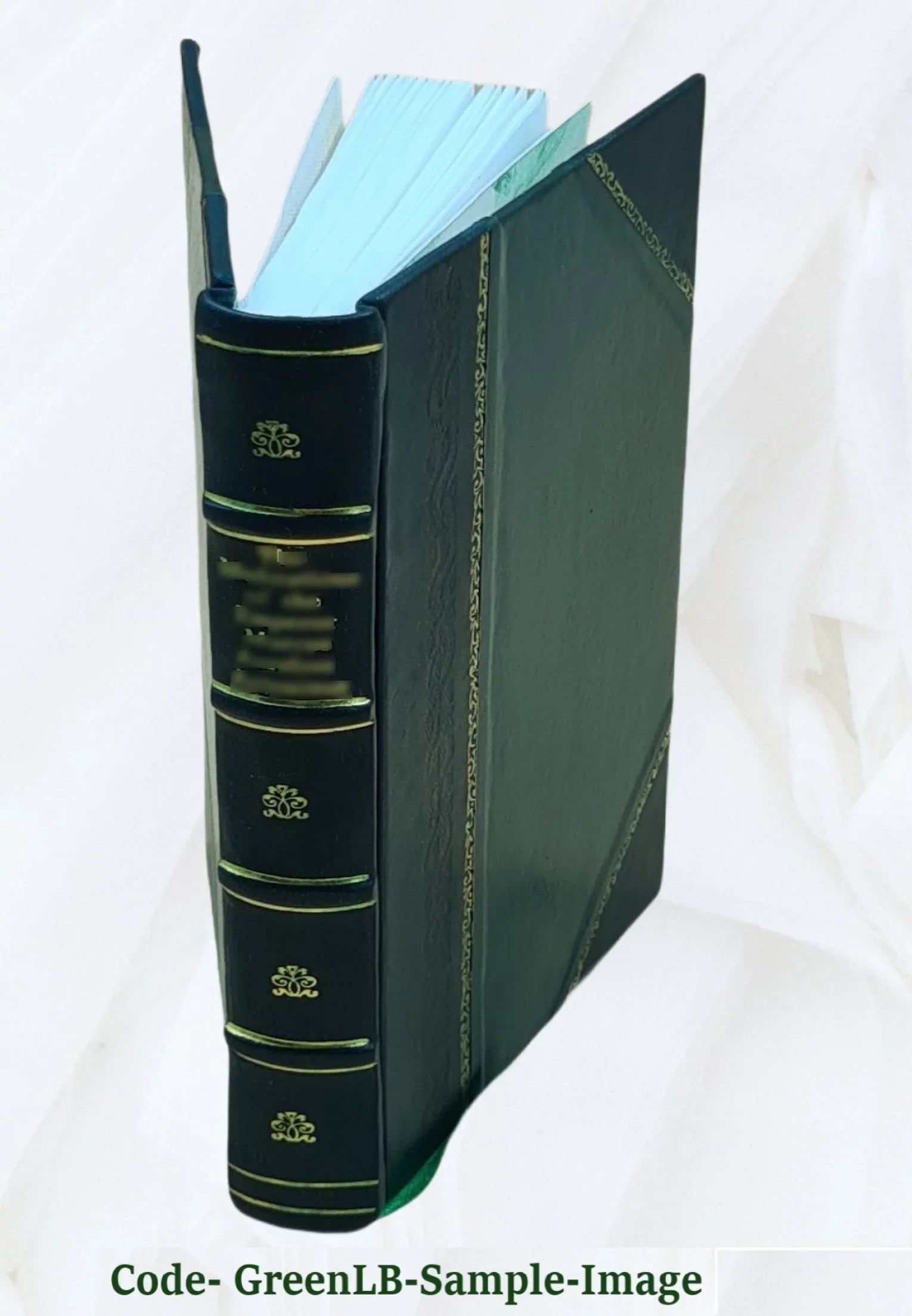 Good old times; or, Grandfather's struggles for a homestead. 1878 [Leather Bound]
