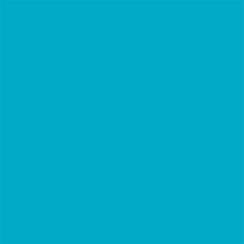 TRC Recreation Foam Swimming Pool Float, Floating Water Lounger, Splash 1.25”