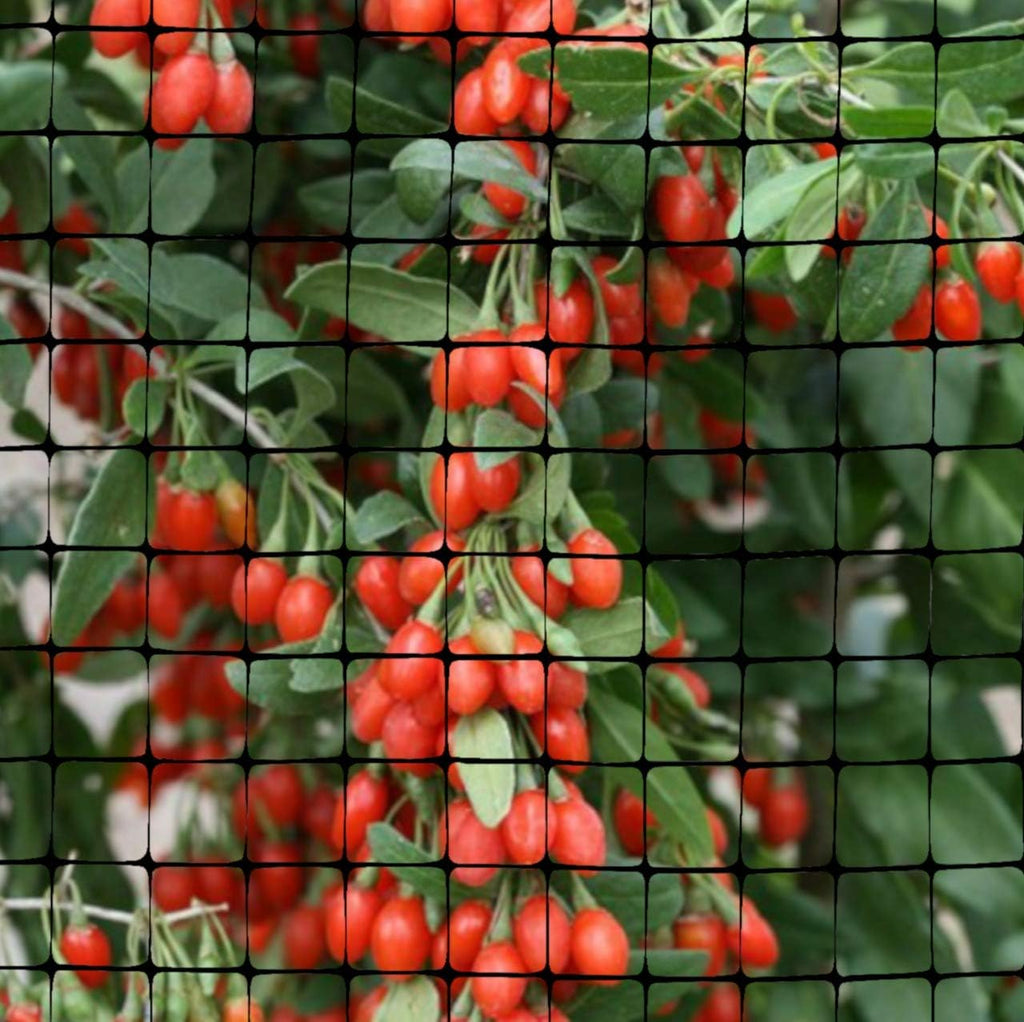 OldMacDonald Deer and Animal Fence Barrier Netting (55gr/sq m.) 7.5' x 100' (2.3m x 30m) (mesh 19x19mm)
