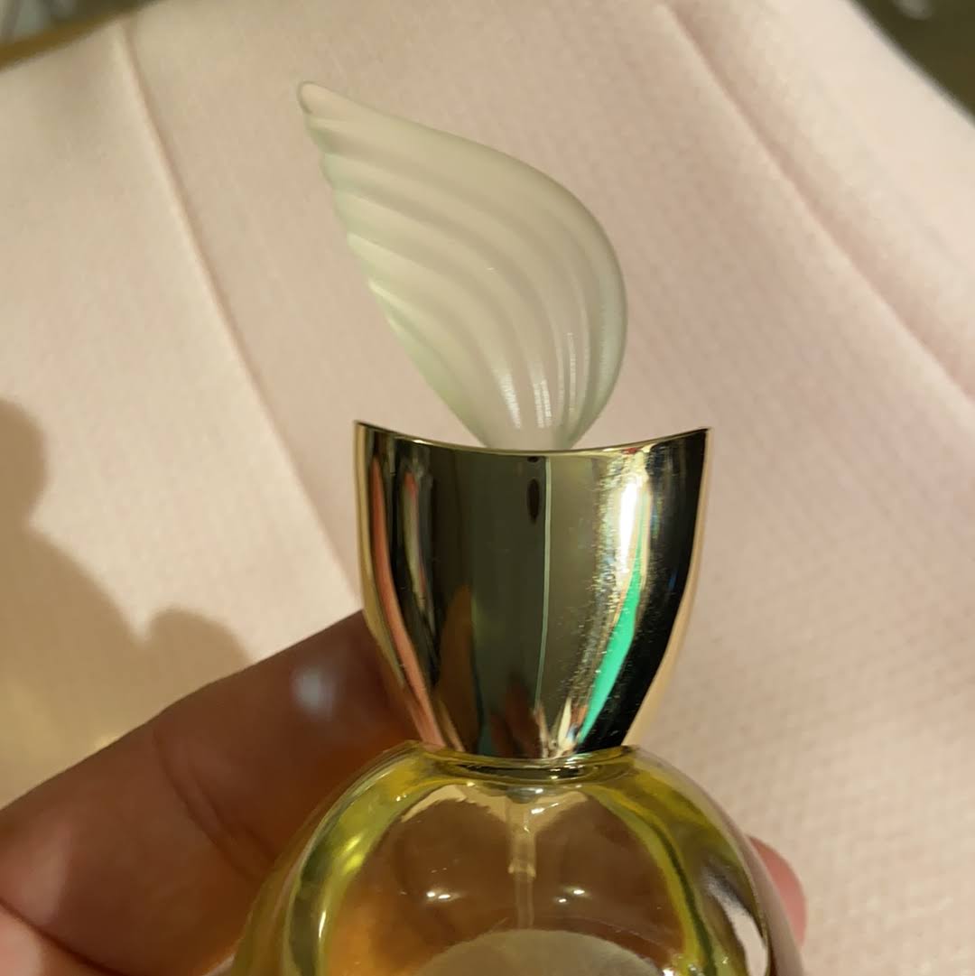 Givenchy Extravagance D Amarige Eau De Toilette Spray  33 fl oz bottle