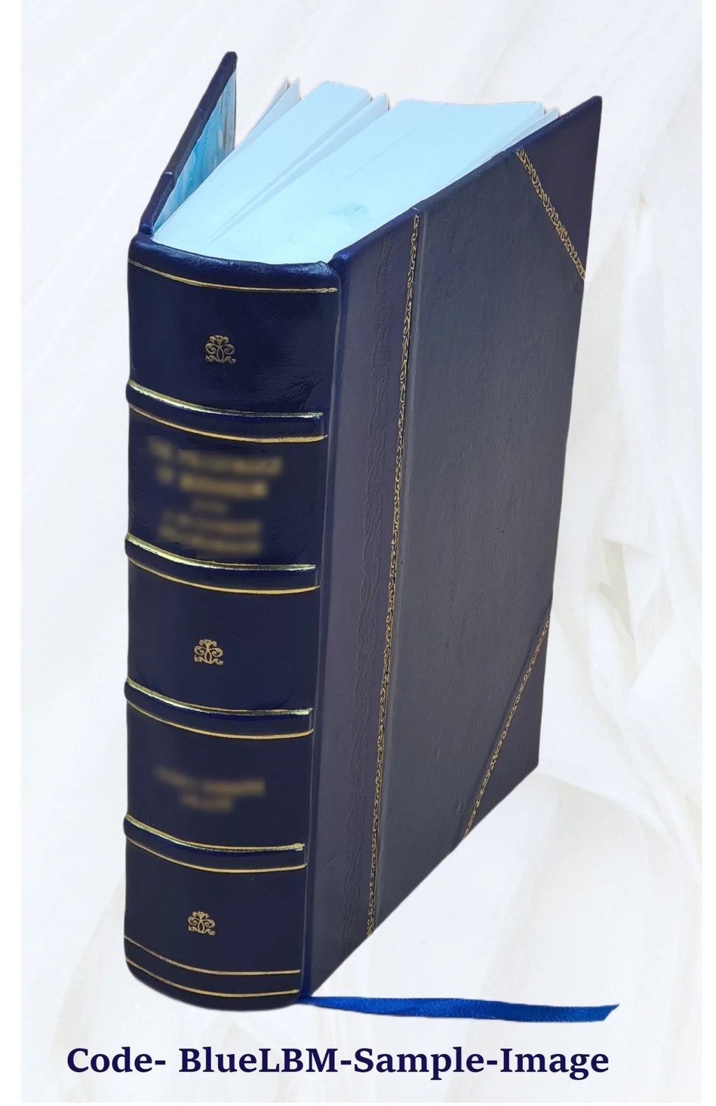 Eléments de médecine clinique Volume v.2 1857 [Leather Bound]