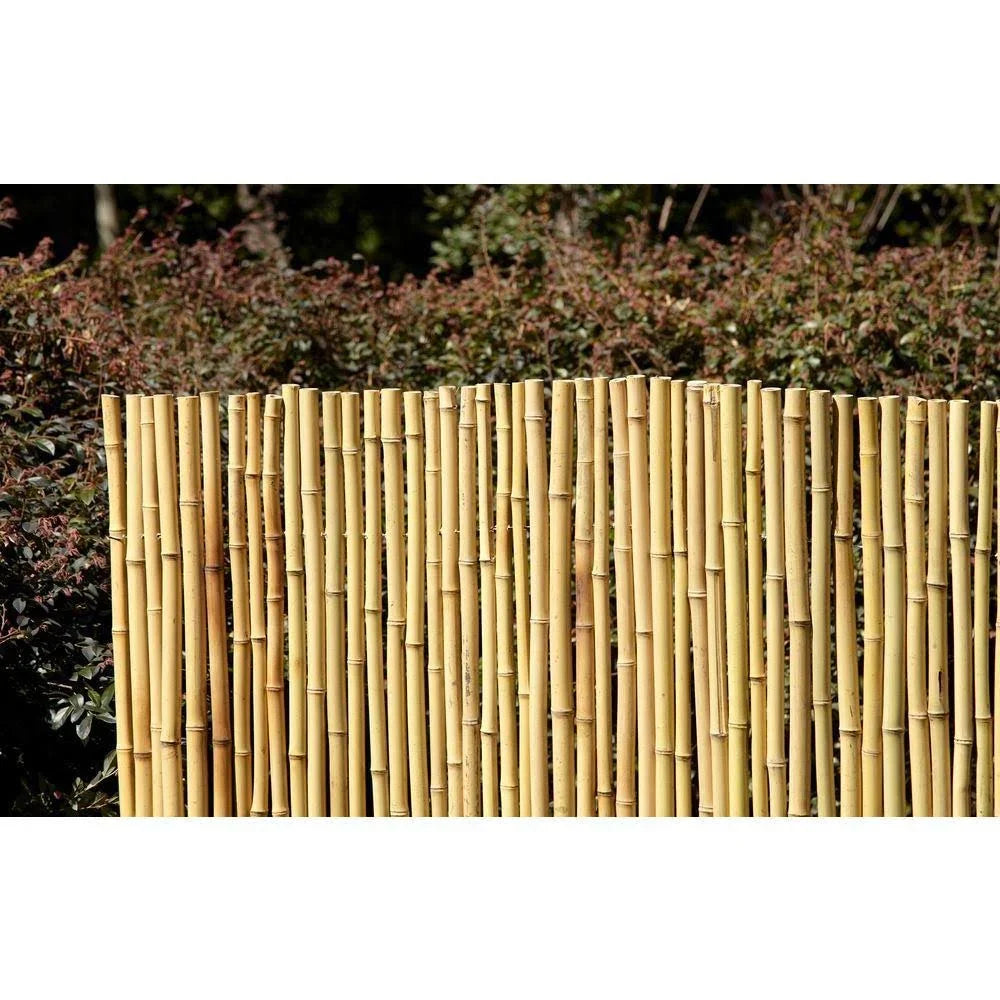 Vigoro 6 ft. x 8 ft. Natural Full Round Bamboo Fence