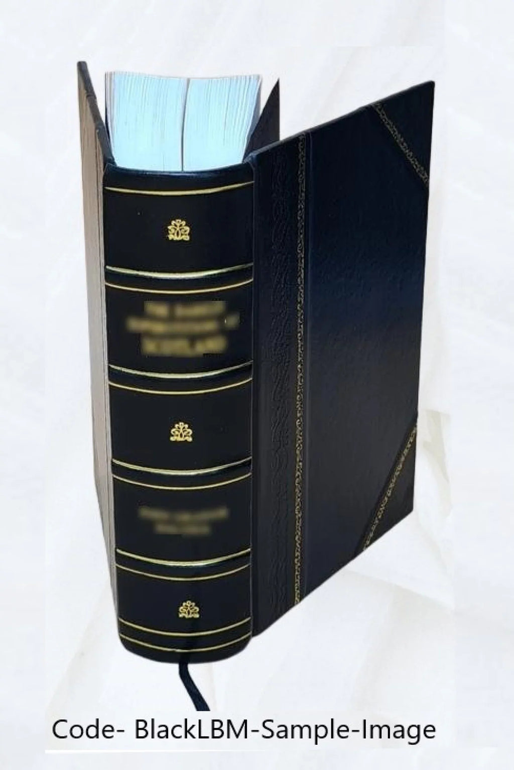 Eléments de médecine clinique Volume v.2 1857 [Leather Bound]