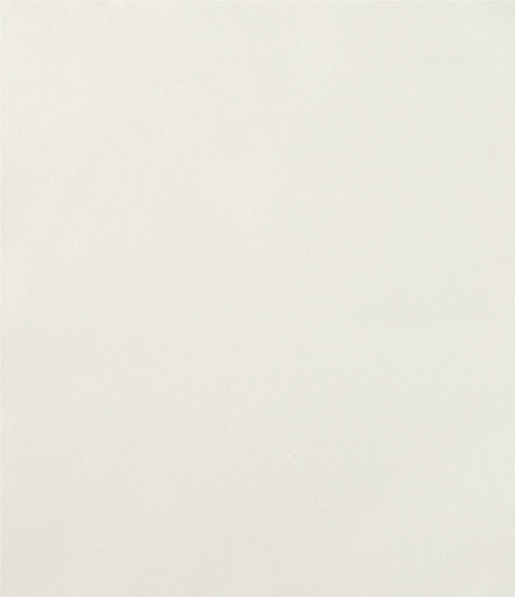 Southern Living Heirloom Sateen Twill Euro Sham - White