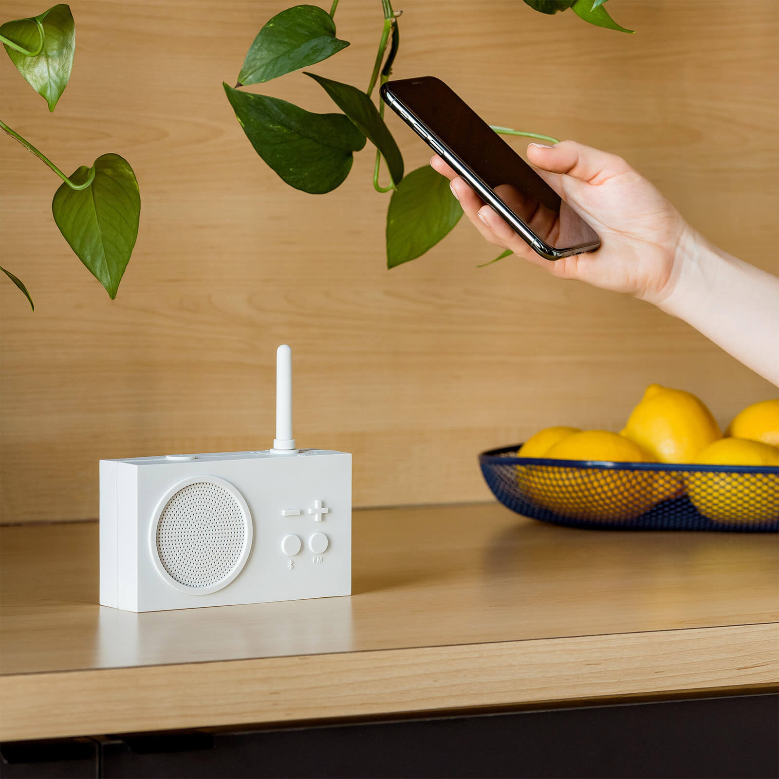 Lexon Tykho 3 FM Radio u0026 Bluetooth Speaker | Mastic